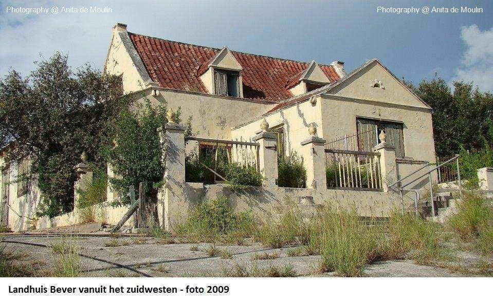10. Bever op het zuidwesten 2009
